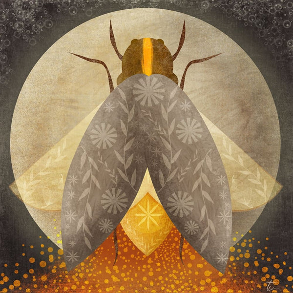 http://www.traceycapone.com/cdn/shop/files/modern-folk-art-firefly-illustration-botanical-wall-tracey-capone-photography-fine-yellow-symmetry-emperor-moths-349_600x.jpg?v=1686672868